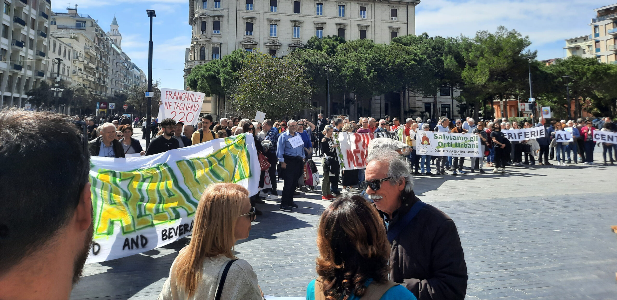 Scopri di più sull'articolo “Non nella nostra città”: in difesa del verde urbano