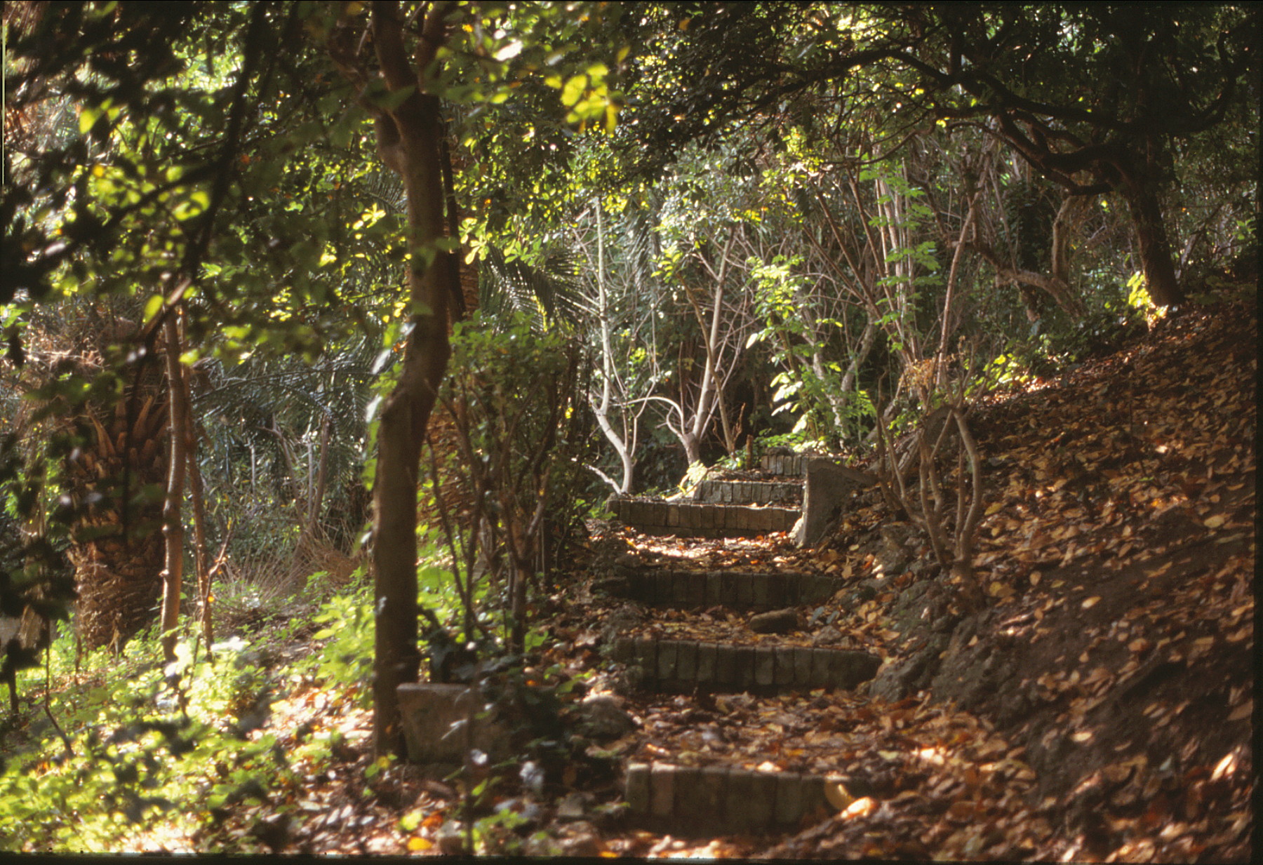Una piccola scalinata nei Giardini Mezzanotte, Luglio 1993