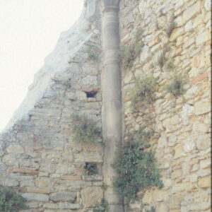 Chiesa San Francesco, dettaglio su colonna, Giugno 1993