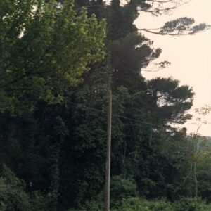 Area verde, paesaggio non indentificato, 1988
