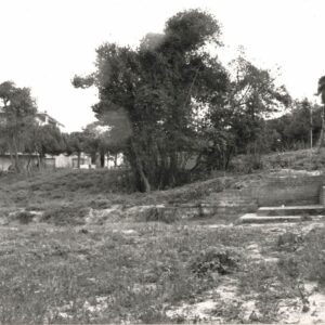 Fonte Letizia, proprietà Ricciardelli,1991
